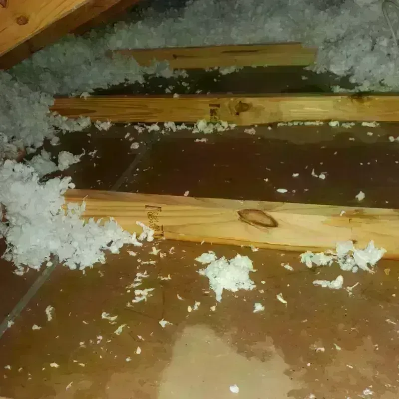 Attic Water Damage in Tahoka, TX