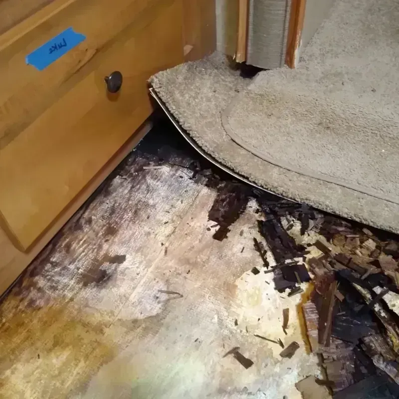 Wood Floor Water Damage in Tahoka, TX